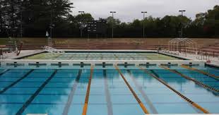 Image result for Stockton Swimming Club