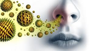 Attēlu rezultāti vaicājumam “pollen corona”