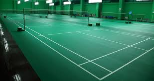 Image result for Tara Sports Badminton Club