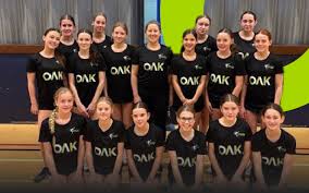 Image result for Brampton Royal Oak Netball Team