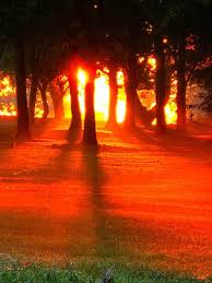 Image result for Ramsey Club Company Ltd