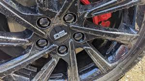 Картинки по запросу белку зажевало в диск