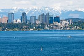 Image result for Bellevue