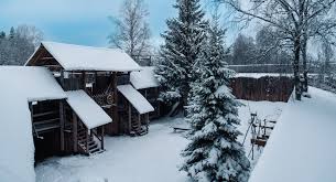 「イルミンガルド・スノーレヴィク」の画像検索結果