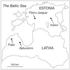 Attēlu rezultāti vaicājumam “Saussurea esthonica”