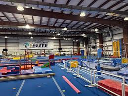 Image result for Epping Forest Elite Gymnastics Club