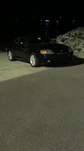 Image result for tuscani tibu...start=0