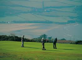 Image result for Cardigan Golf Club