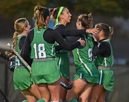 Image result for York University Hockey Club