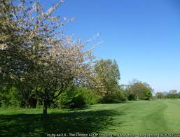 Image result for Banstead Downs Golf Club