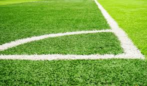 Image result for Pitch marking blog