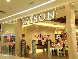 Reena's Online: Kaison Malaysia