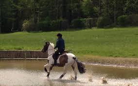 Image result for Winchester Riding Club