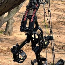 Image result for Burntwood Archers