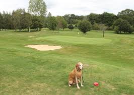 Image result for Chiddingfold Golf Club