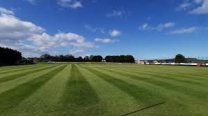 Image result for North Down Cricket Club