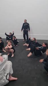 Image result for Derwent Jujitsu Academies