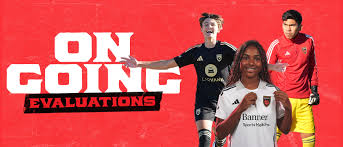 Image result for Phoenix Old Boys Football Club