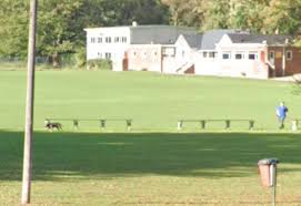 Image result for Riddings Cricket Club