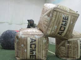 Image result for Absolute Paintball