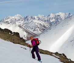 Image result for Gordon Skiers