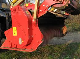 Image result for seppi tehron