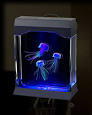 unusual fishtank designs