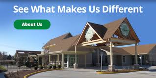 Image result for The Academy