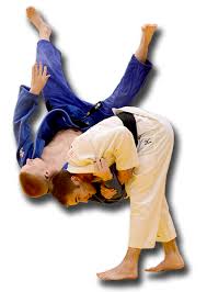 Image result for Jsc Judo Club