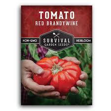 Afbeeldingsresultaat voor brandywine cherry tomato