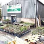 Image result for Dolgellau Old Grammarians Rugby Football Club