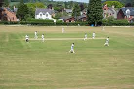 Image result for Wells Cricket Club