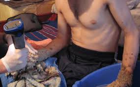 Image result for Lewandowsky-Lutz