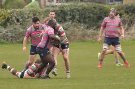 Image result for Lutterworth Rfc