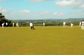 Image result for Selsted Cricket Club
