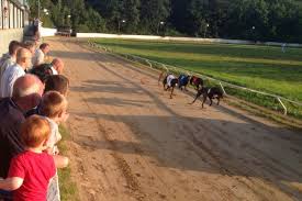 Image result for Reading Greyhound Track