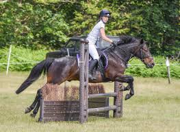 Image result for Chobham and District Riding Club