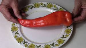 Afbeeldingsresultaat voor aconcagua sweet pepper