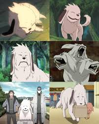 「犬塚キバ NARUTO」の画像検索結果