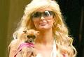 Sex & the Single Woman: Paris Hilton as a Role Model | Single
