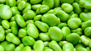 Image result for Dicke Bohnen