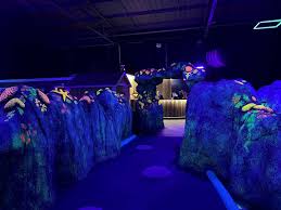 Image result for Kingsbridge Krays Octopush Club