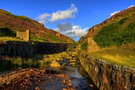 Image result for White Coppice Cricket Club