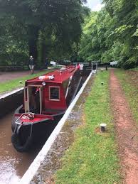 Image result for Seren Dwr