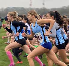 Image result for Thames Valley Harriers