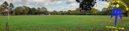 Image result for Old Wokingians Football Club