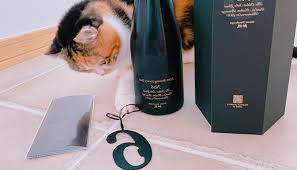 “水野学X68ラキッ”的图片搜索结果