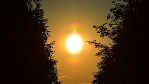 Attēlu rezultāti vaicājumam “pollen corona”