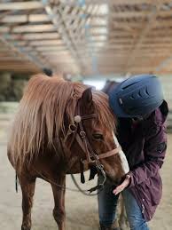 Image result for Patchett`s Green Riding Club