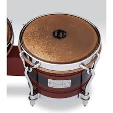 Image result for Bongos Disc Golf Club